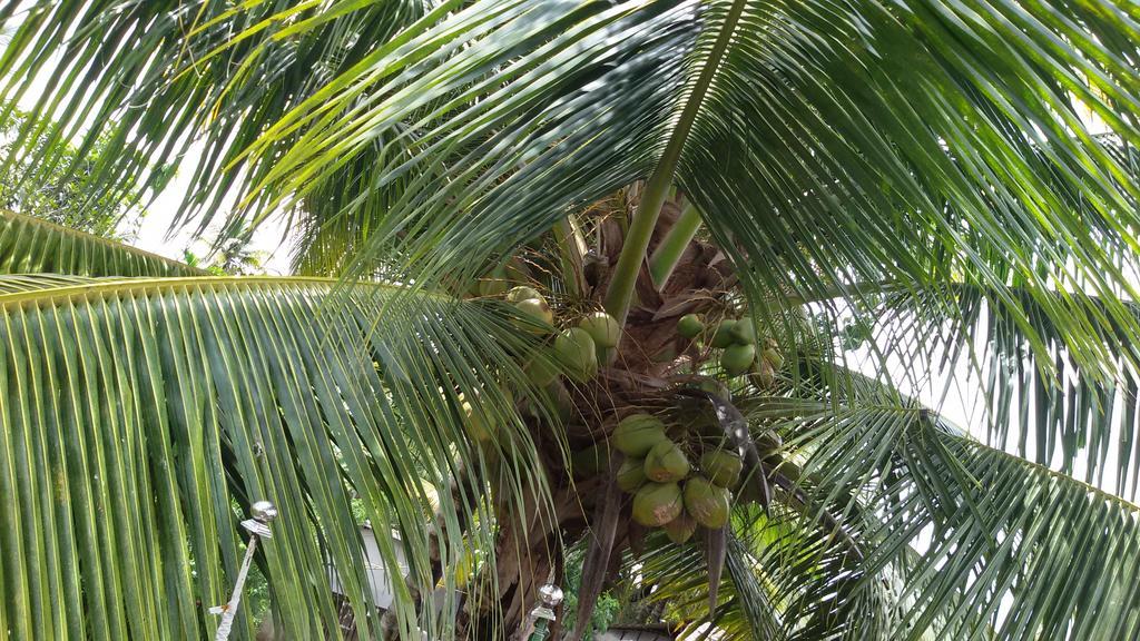 Keralan Homestay Alappuzha 外观 照片