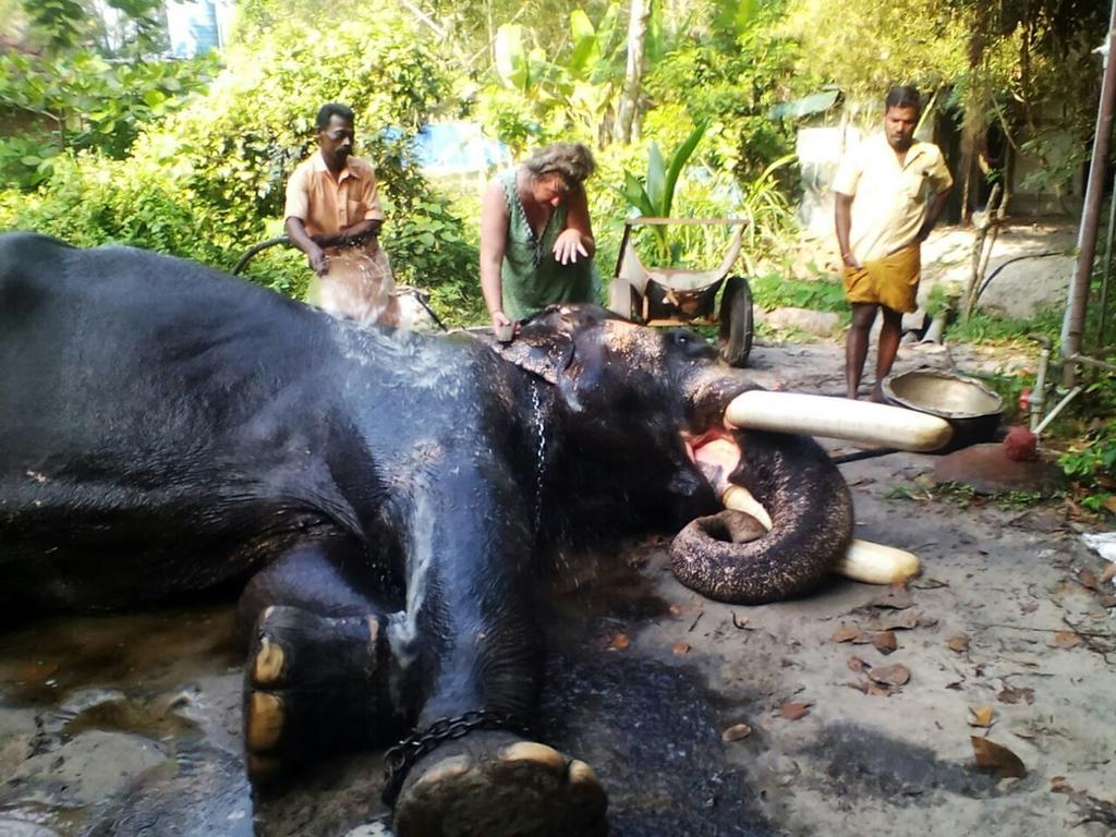 Keralan Homestay Alappuzha 外观 照片